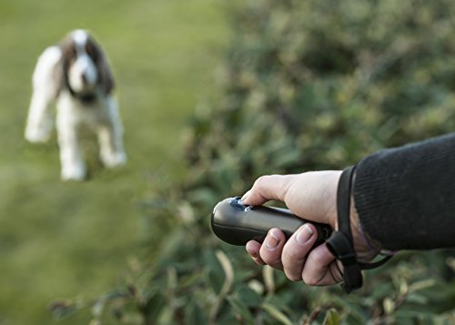 First Alert Handheld Bark Control Device