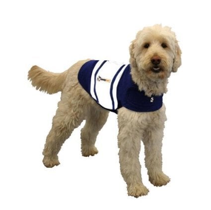 Rugby Thundershirt