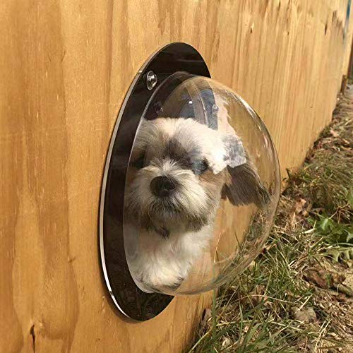 Dog fence window