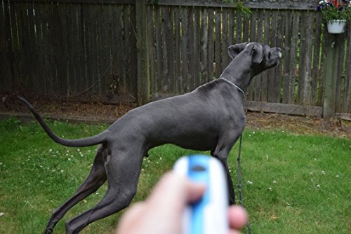 Doggie Don't Handheld Bark Control Device