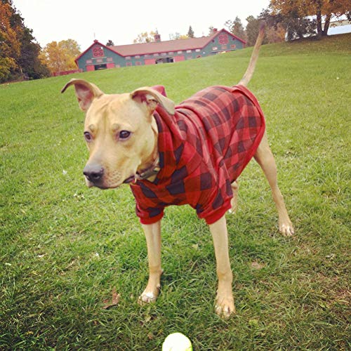 KOOLTAIL Plaid Dog Hoodie