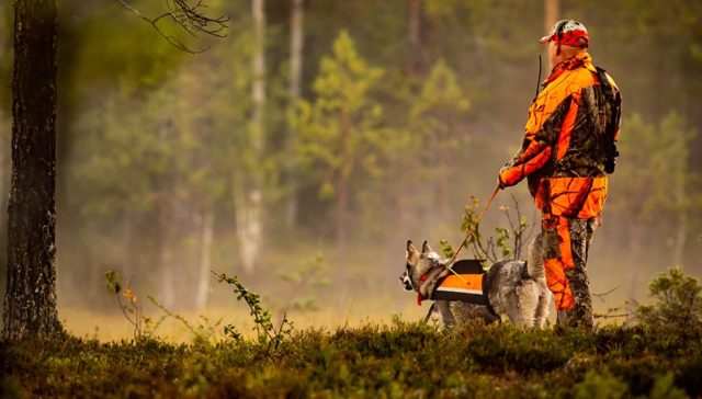 Best Dog Hunting Vest