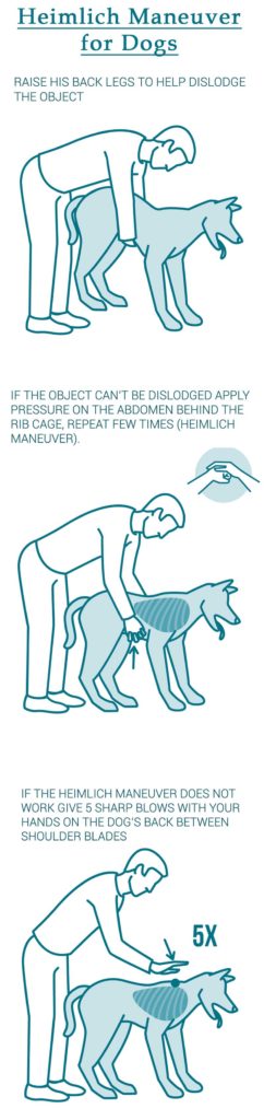 Heimlich maneuver for dogs