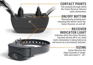 How hunting dog collars work