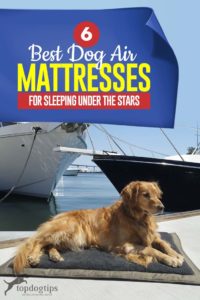 The 6 Best Dog Air Mattress Options for Sleeping Under the Stars