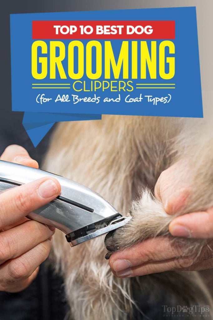 Top Rated Best Dog Grooming Clippers For All Breeds and Coat Types