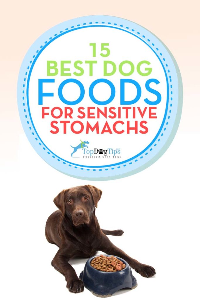 Top Rated Sensitive Stomach Dog Foods