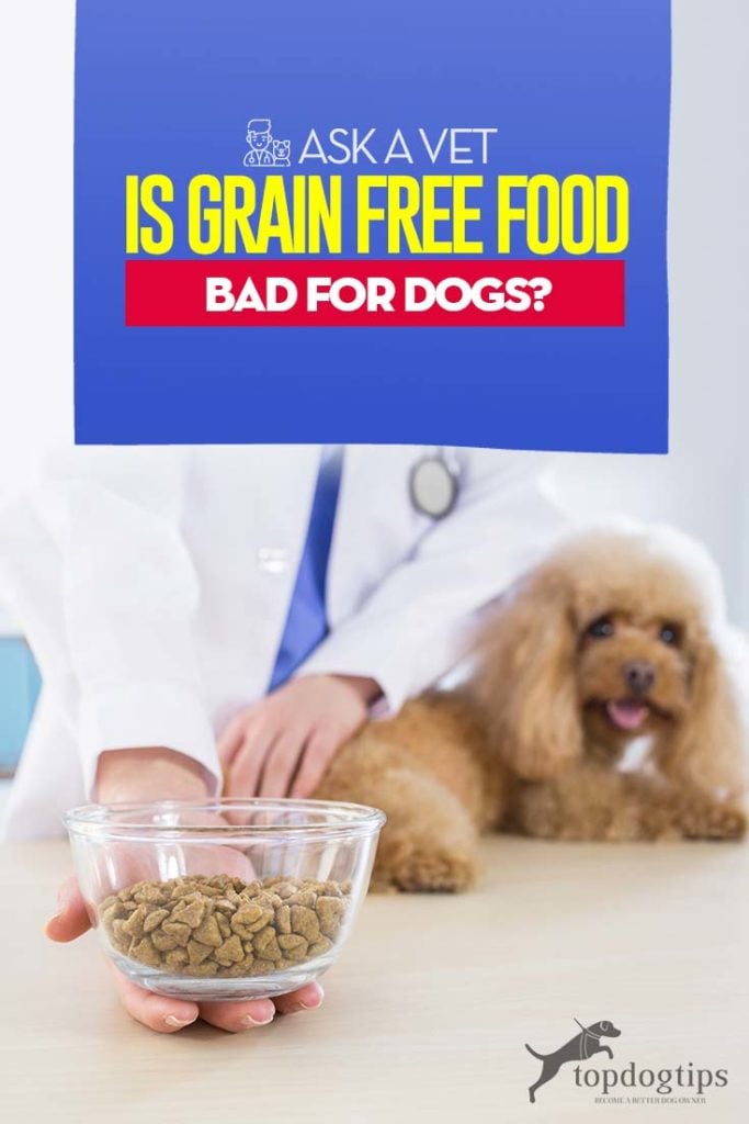 Ask a Veterinarian - Is Grain Free Food Bad for Dogs