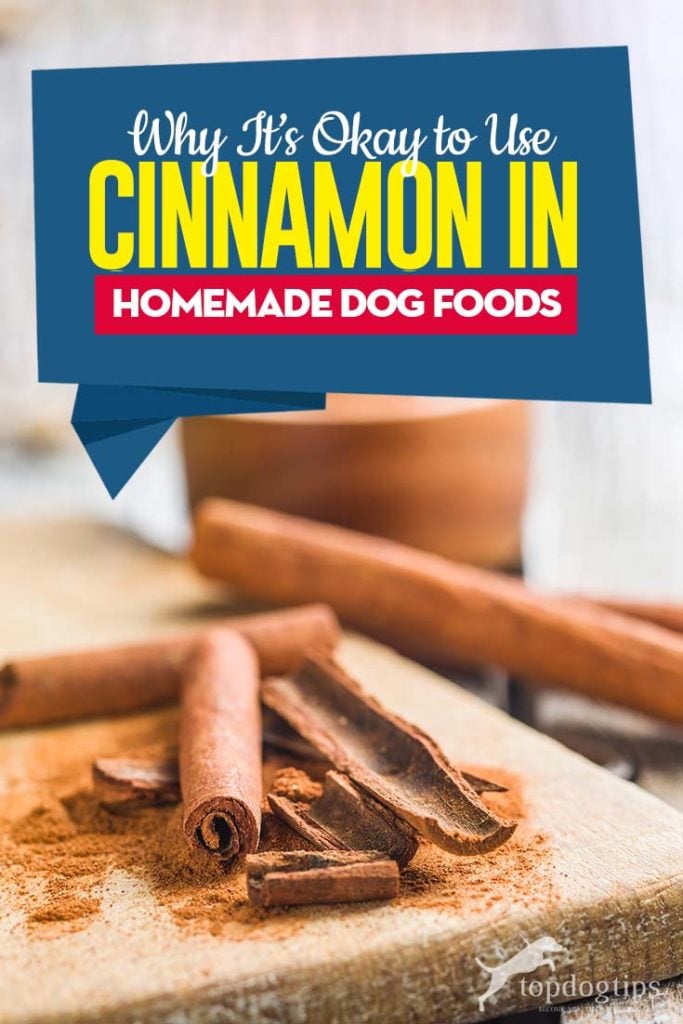 Guide on Cinnamon in Homemade Dog Food Recipes