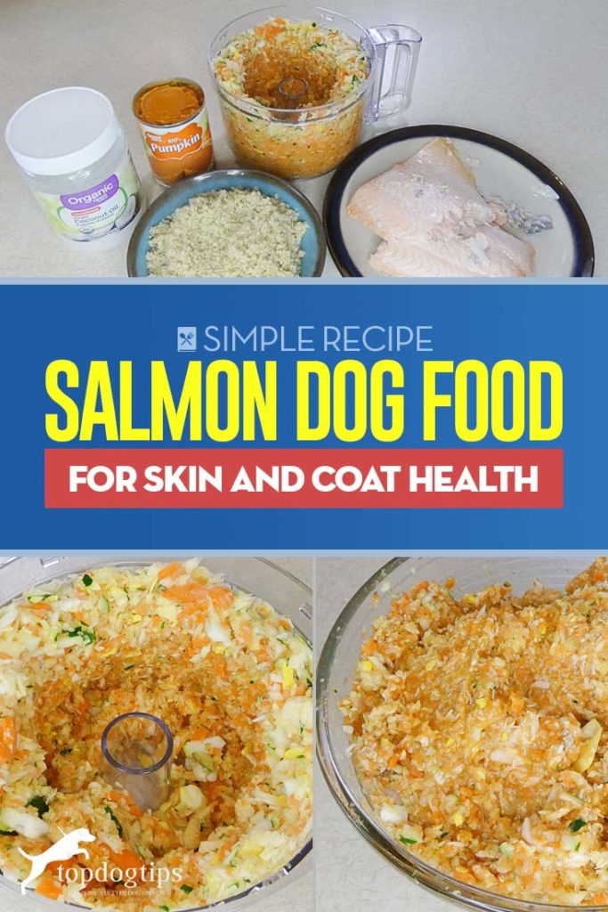 Healthy Salmon Dog Food for Skin and Coat Health Recipe