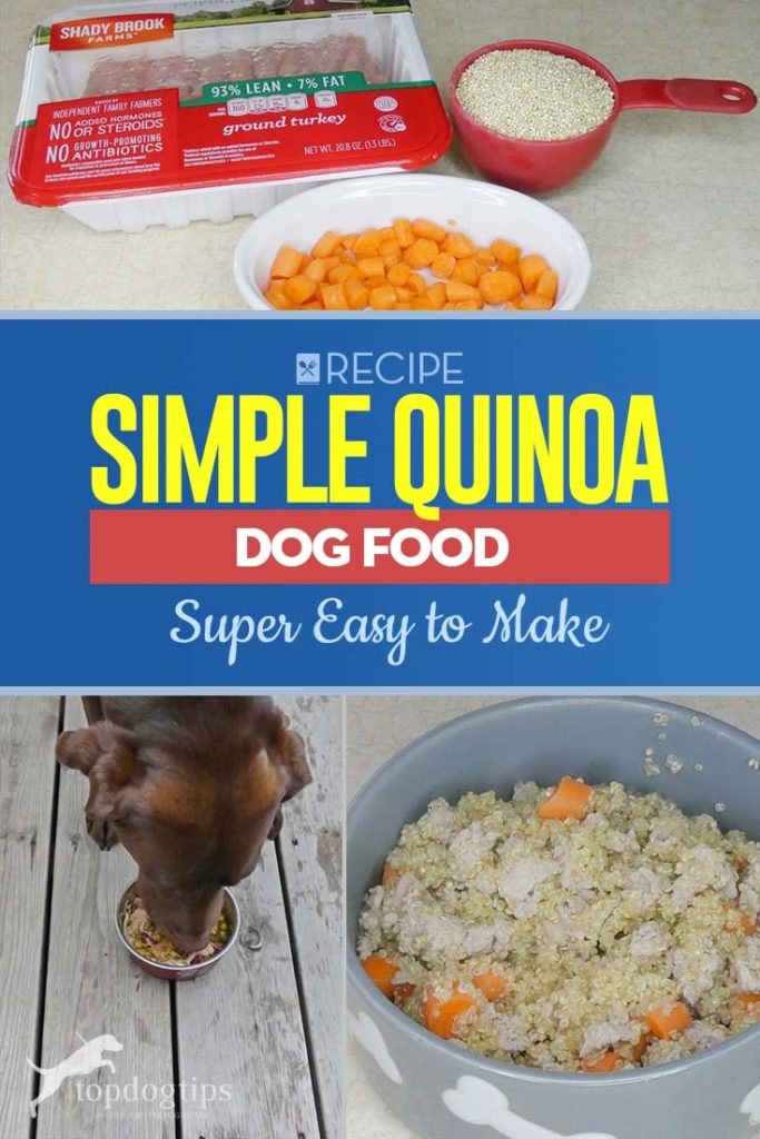 Recipe of Simple Quinoa Dog Food