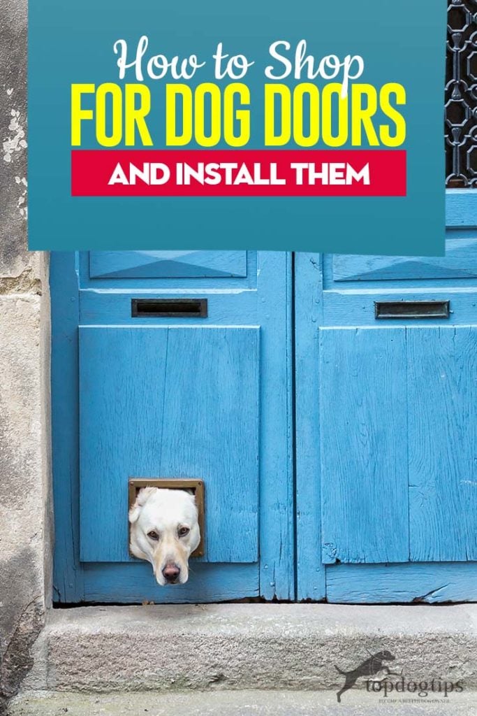 Tips on How to Shop for Dog Doors