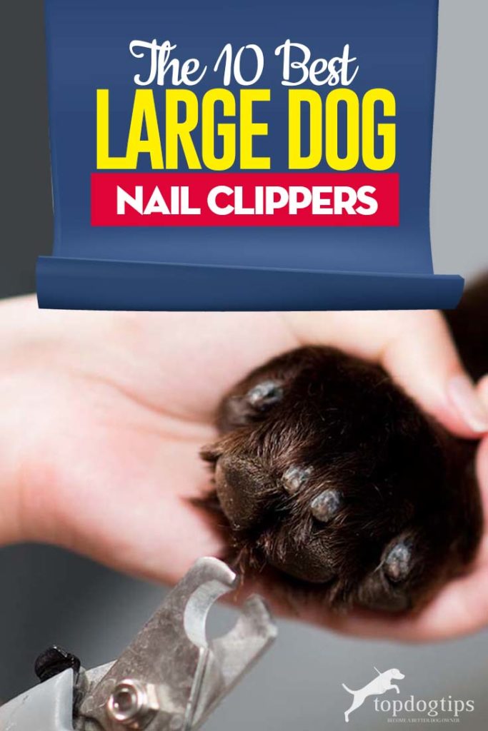 Top 10 Best Large Dog Nail Clippers