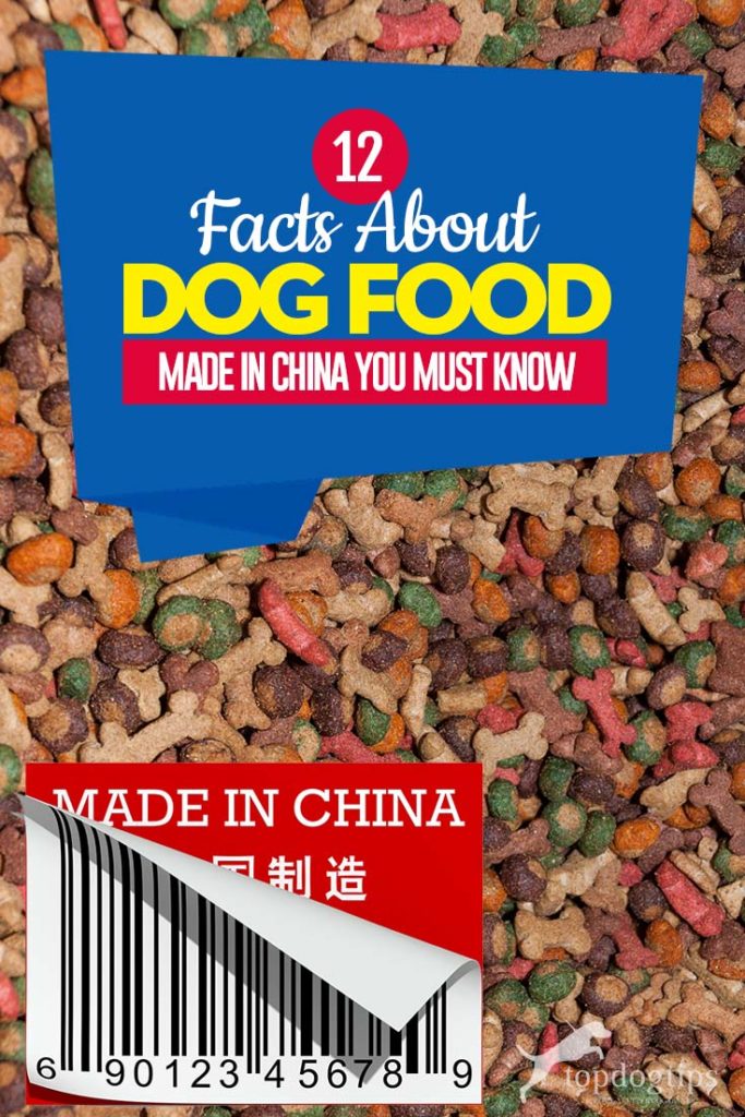 Top 12 Facts About Dog Food Made in China