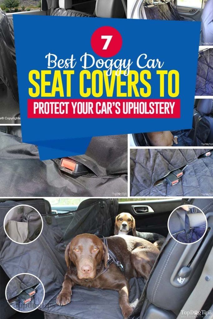 Top 7 Best Car Seat Covers for Dogs to Protect Your Car's Upholstery