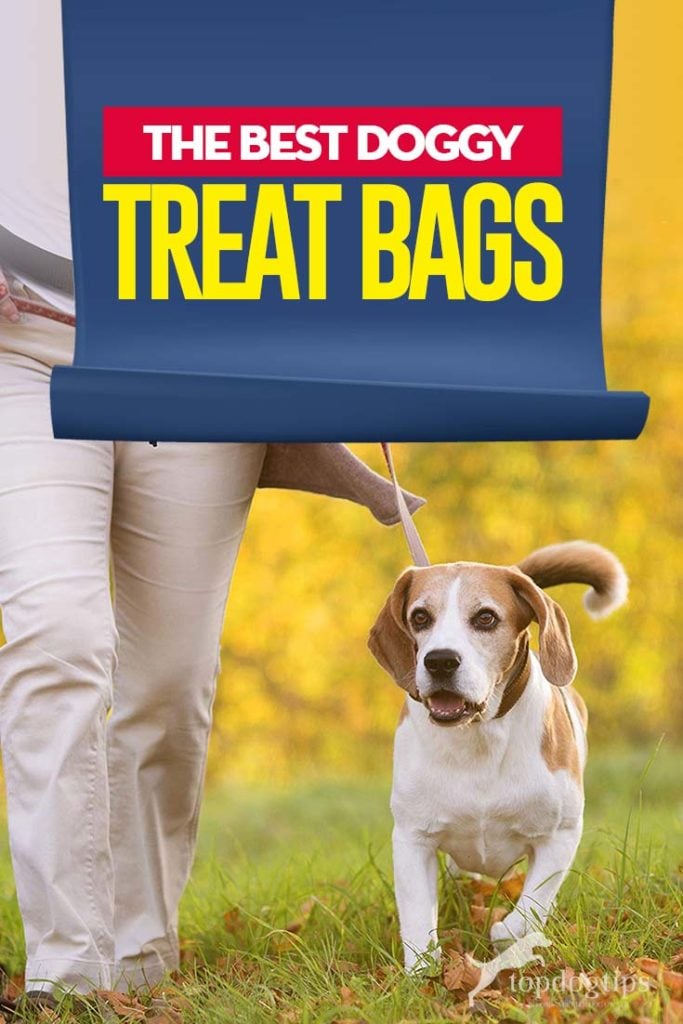 Top Rated Best Dog Treat Bags