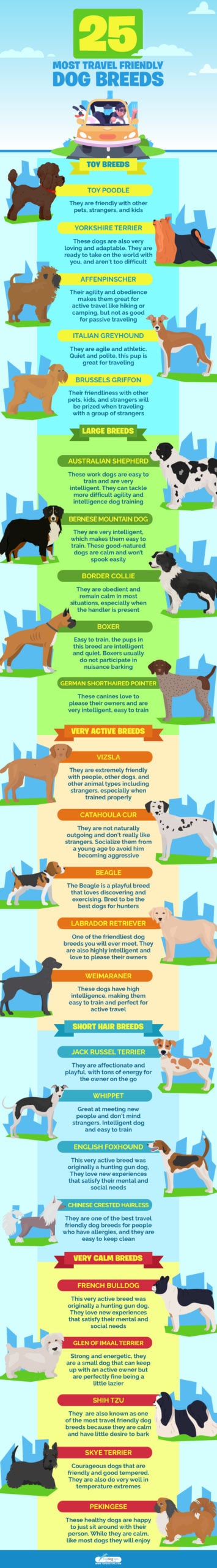 Travel Friendly Dog Breeds