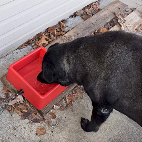 1-1/4-Gallon Heated Water Bowl by Farm Innovators