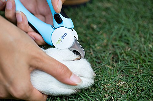 Dog Nail Trimming Clippers by DakPets