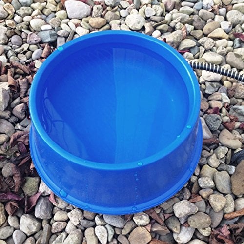 1-Quart Heated Bowl for Dogs byFarm Innovators