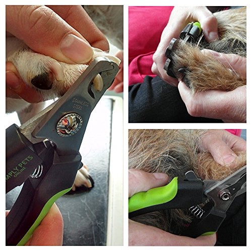 Dog Nail Clippers with Sensor by Simply Pets