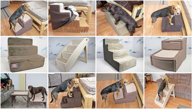 Best Dog Stairs for High Bed