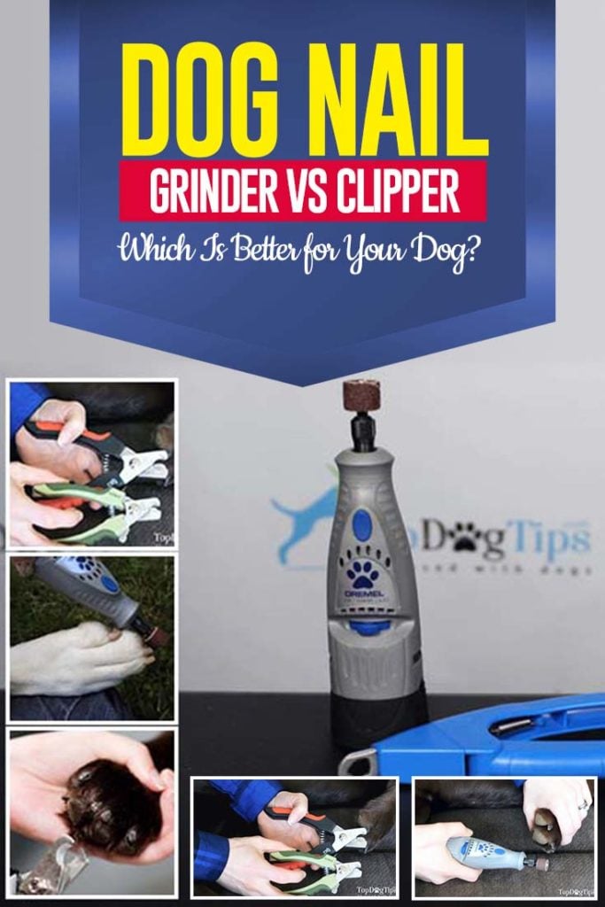 Guide on Dog Nail Grinder vs. Clipper - Which Is Better for Dogs