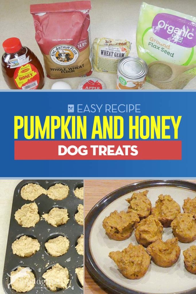 Healthy Pumpkin and Honey Dog Treats Recipe