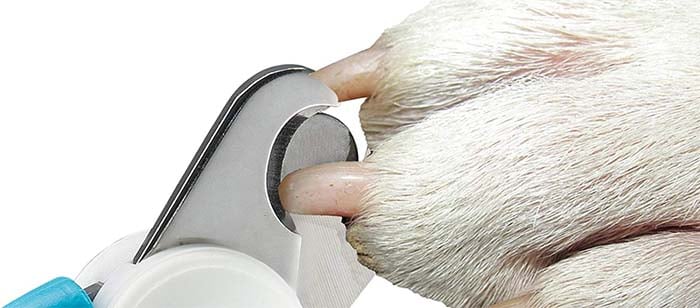 How sensor prevents cutting in dog nail quick