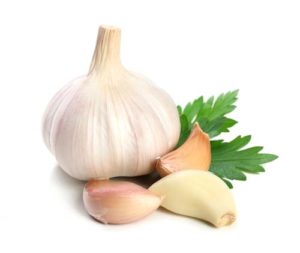 Potential Benefits of Garlic for Dogs