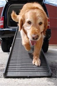 Size of the Car Ramp for Dogs