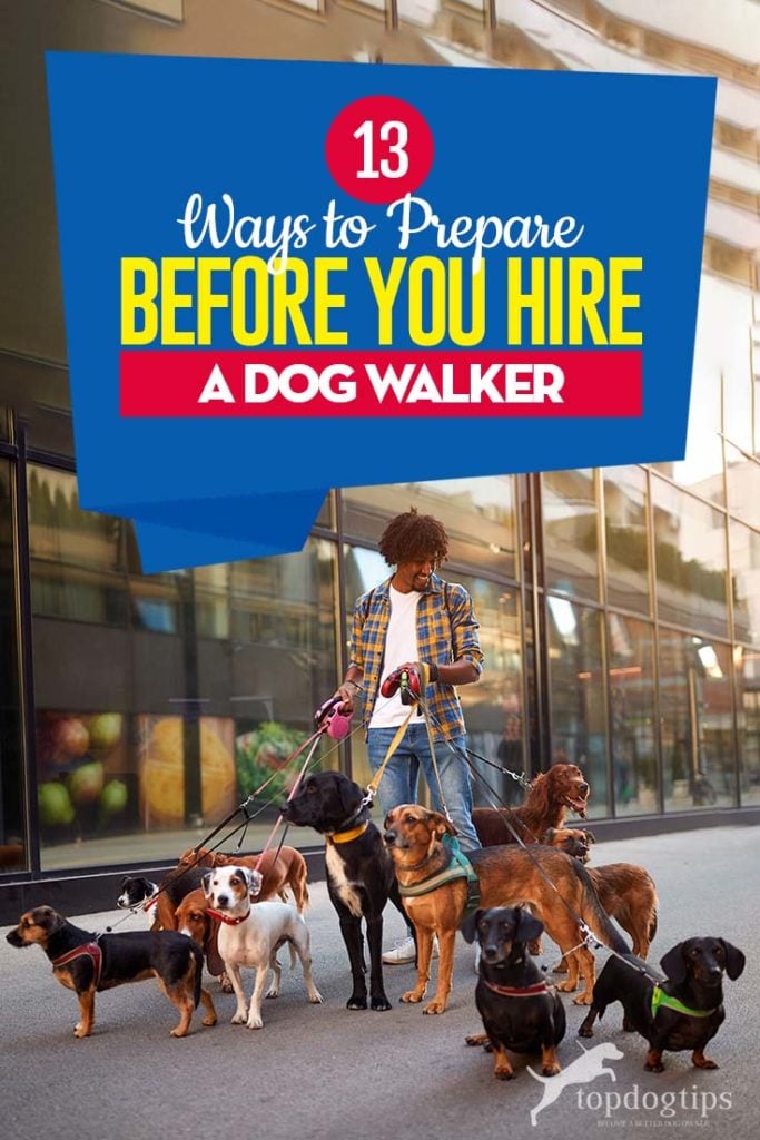 The 13 Ways to Prepare Before You Hire a Dog Walker