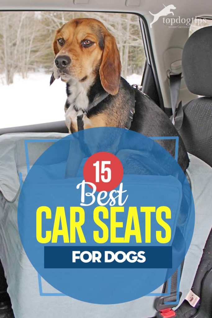 The 15 Best Car Seats for Dogs