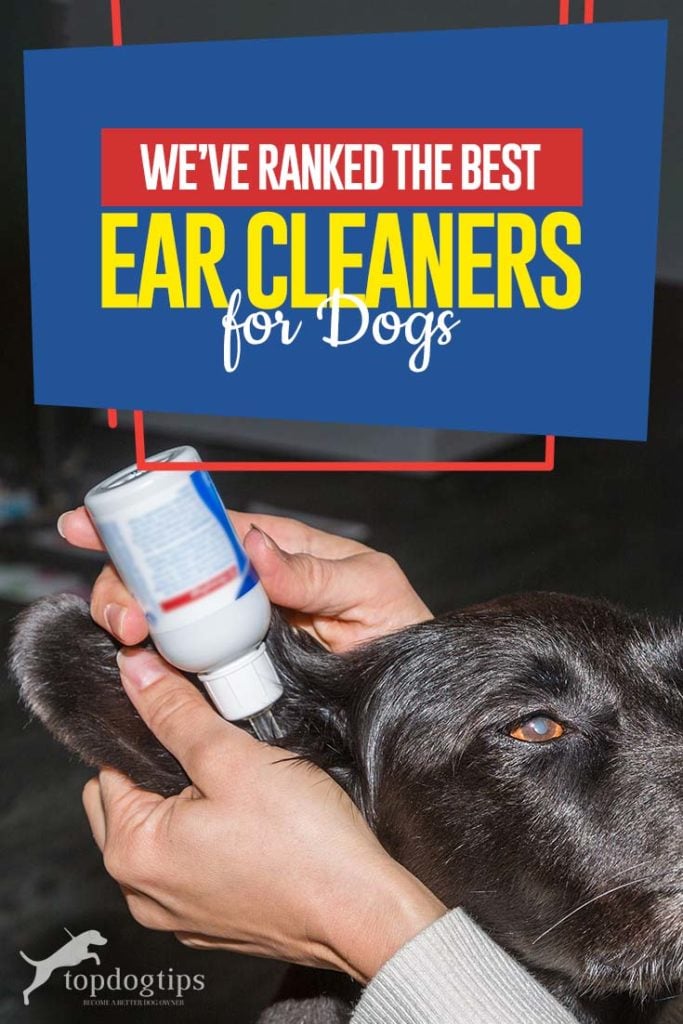 The Best Rated Ear Cleaners for Dogs 2020