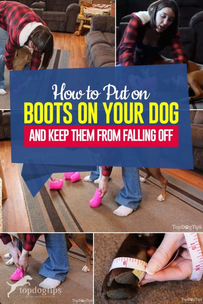 Tips on How to Put On Dog Boots and Keep Them from Falling Off