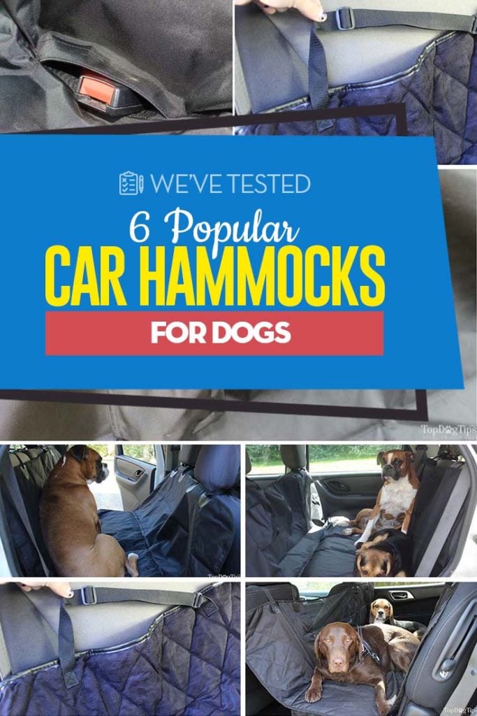 Top 6 Best Dog Car Hammocks 2020