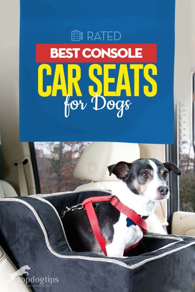 Top Best Console Dog Car Seat Choices