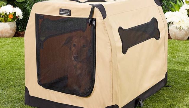 Best Portable Soft Dog Crates for Travel featured image