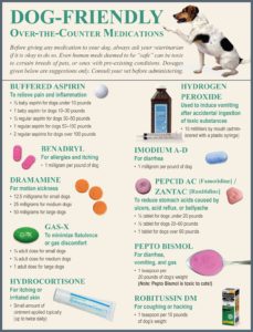 Dog-friendly over the counter pain meds for dogs