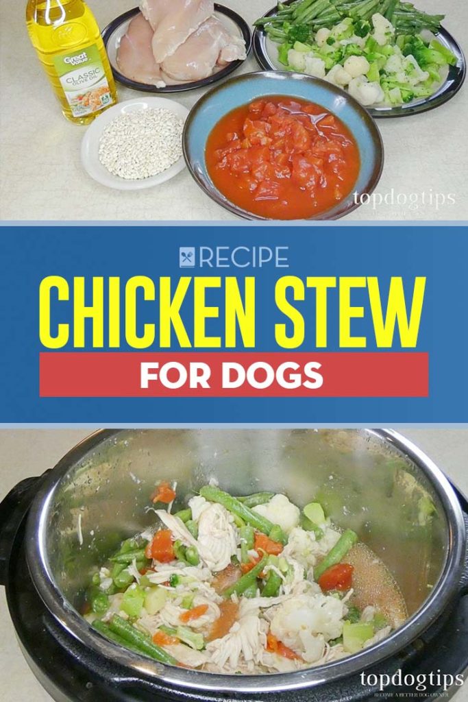 Recipe of Chicken Stew for Dogs