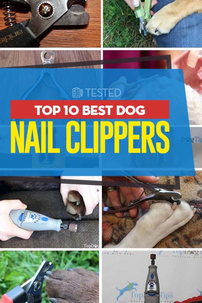 The 10 Best Dog Nail Clippers