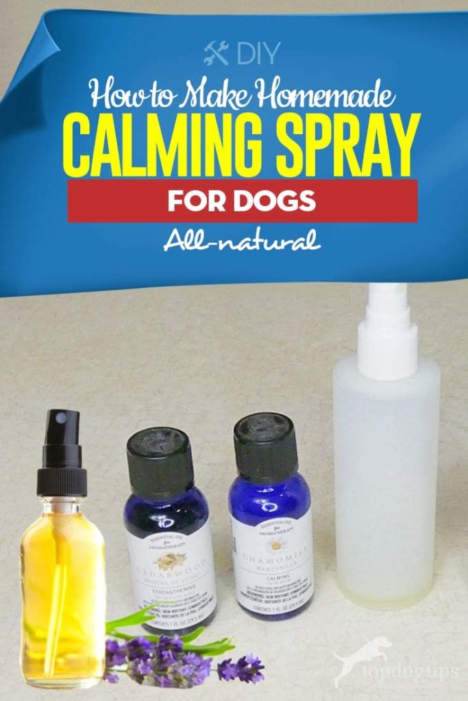 Tips on How to Make Homemade Calming Spray for Dogs