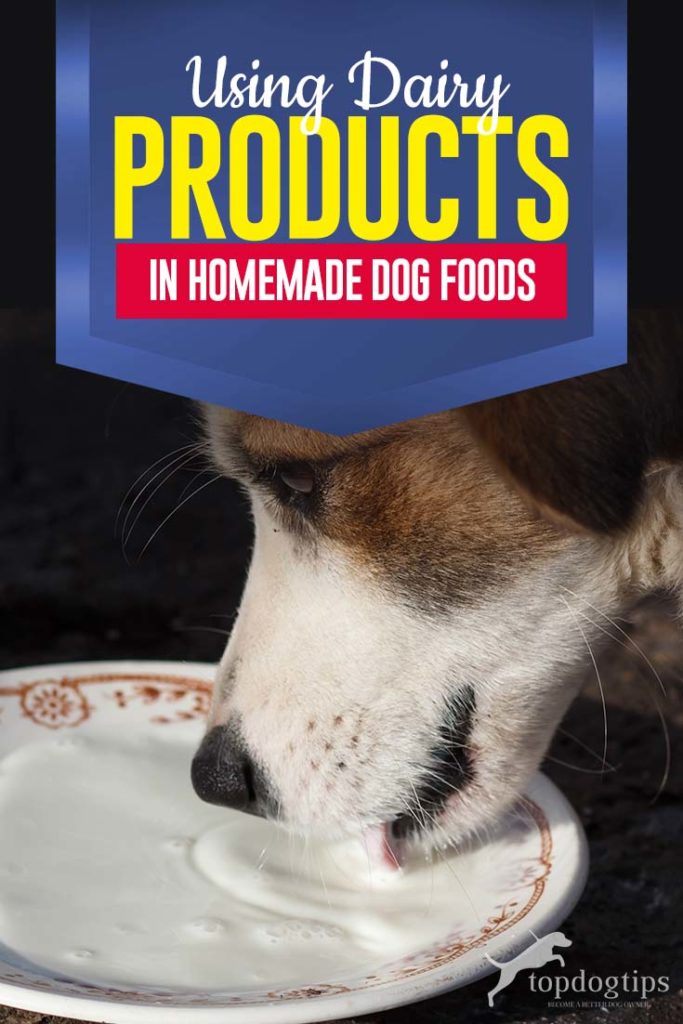 Tips on Using Dairy Products in Homemade Dog Food Recipes