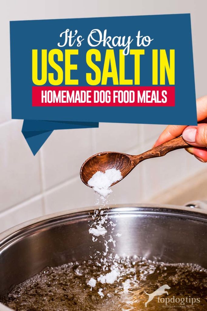 Tips on Using Salt in Homemade Dog Food Meals