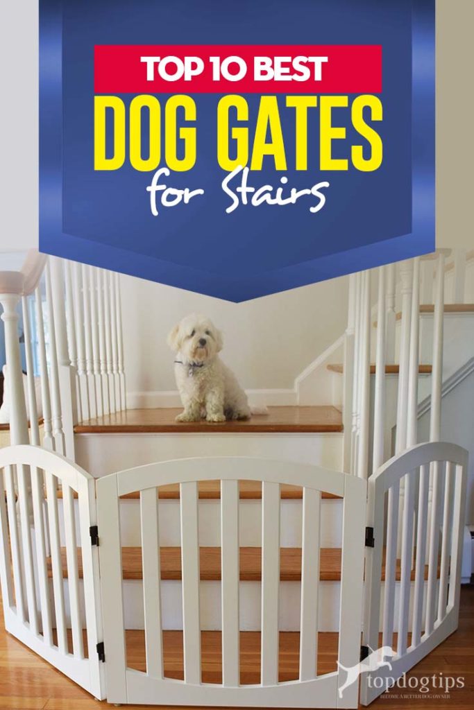 Top 10 Best Dog Gates for Stairs