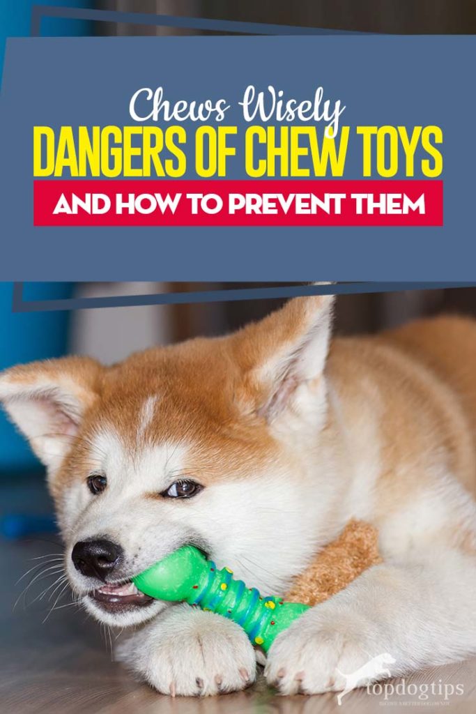 Top Dangers of Chew Toys and How to Prevent Them