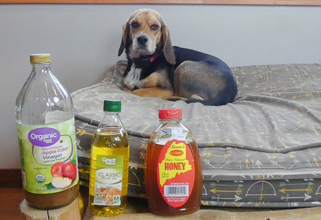 5 Best Dog Mange Home Remedies