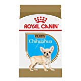 Royal Canin Breed Health Nutrition Chihuahua Puppy Formula