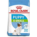 2nd Maltese Dog Food For Puppy: Natural Royal Canin X-Small Puppy Dry Food