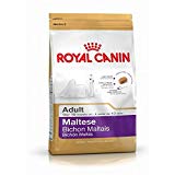 1st Maltese Dog Food For Adult: Royal Canin Breed Health Nutrition Formula